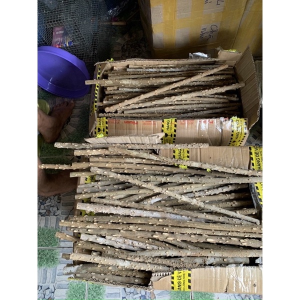Cầu  gạo cho chim đứng
