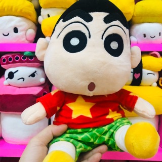 Gấu bông Cushin