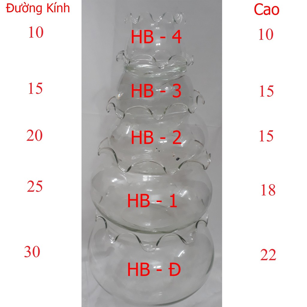 Bể Cá Lớn HB-1 25x25x18CM - Hồ Cá Để Bàn - Chậu Cá Thủy Tinh [HB1]