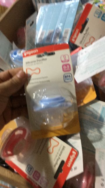 Núm ti. Ti giả Pigeon