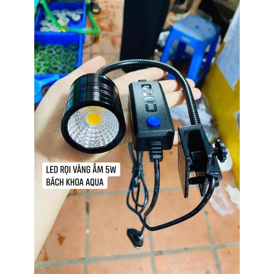 Đèn led rọi 5w 3 chế độ màu