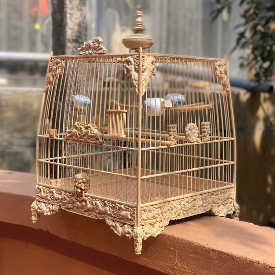 Lồng chim Jambul - TL18