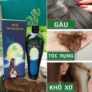 Dầu gội Dược Liệu Thanh Mộc Hương Cam Kết hàng chuẩn Công Ty