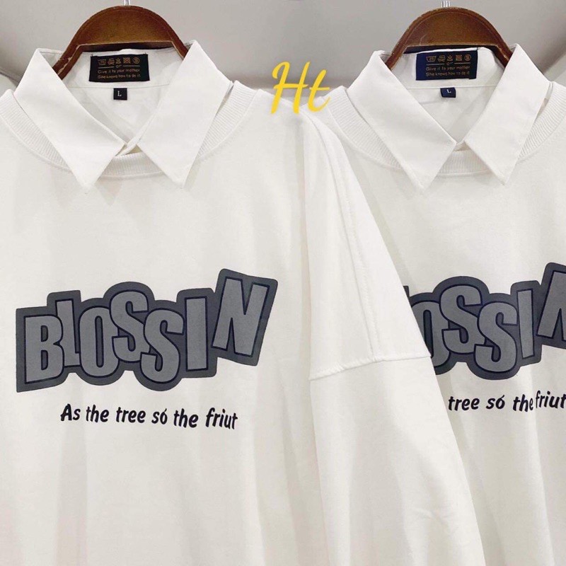 Áo nỉ Bloss bo gấu H2Q969