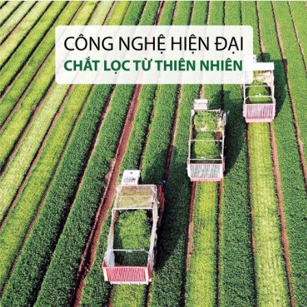 Xịt dưỡng tóc tinh dầu bưởi Suziko kích thích mọc tóc và ngăn ngừa gẫy rụng hiệu quả 100ml