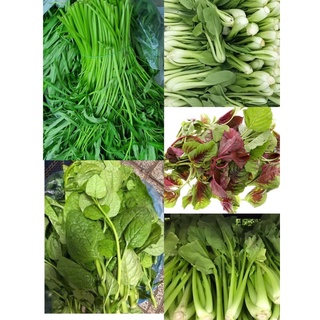 Cải ngọt, cải thìa, cải xanh, mồng tơi đồng giá 26k/kg