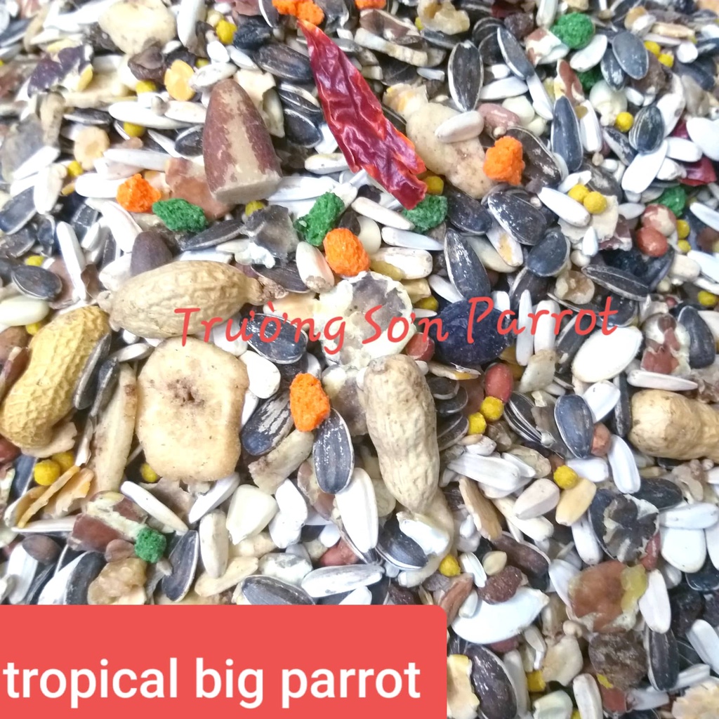 1kg hạt trộn TROPICAL BIG PARROTS MANITOBA  chuyên dùng cho tất cả vẹt macaw và cookatoo lớn