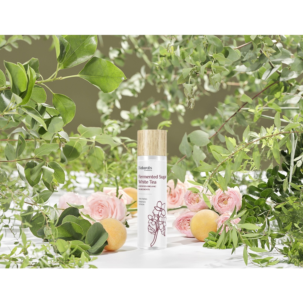 Sữa Dưỡng Da Naturals by Watsons Trẻ Hóa Da Chiết Xuất Đường Thủy Phân &amp; Trà Trắng Fermented Sugar &amp; White Tea Essence 1