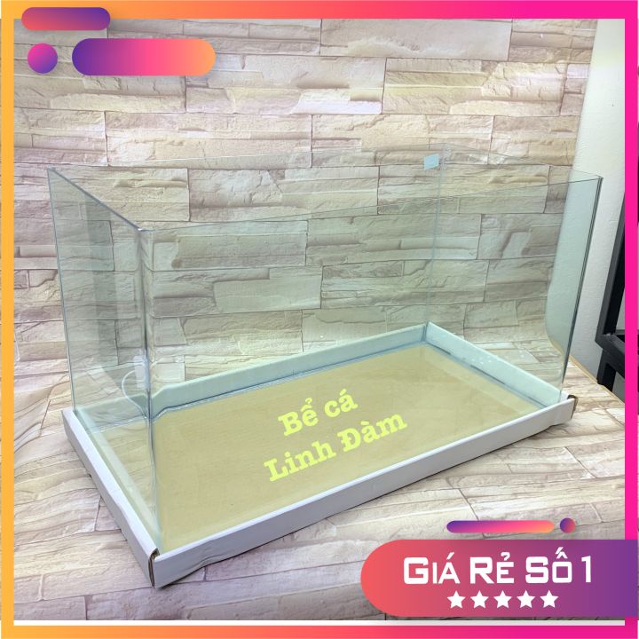 Bể Cá Chữ Nhật 60cm Kính Đúc Bo Góc-Bể Cá Thủy Sinh