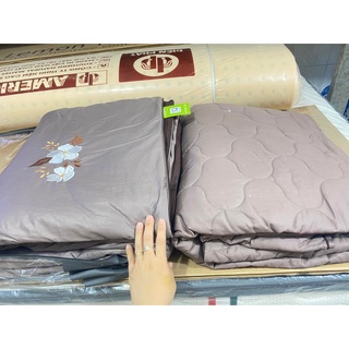 Bộ Drap chun chần EVERON MDSC090
