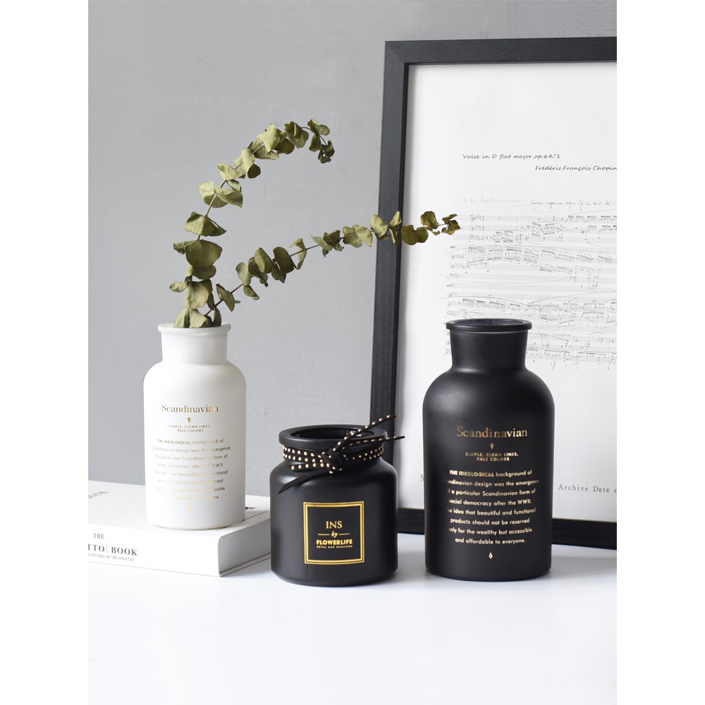 Lọ hoa thủy tinh Scandinavian