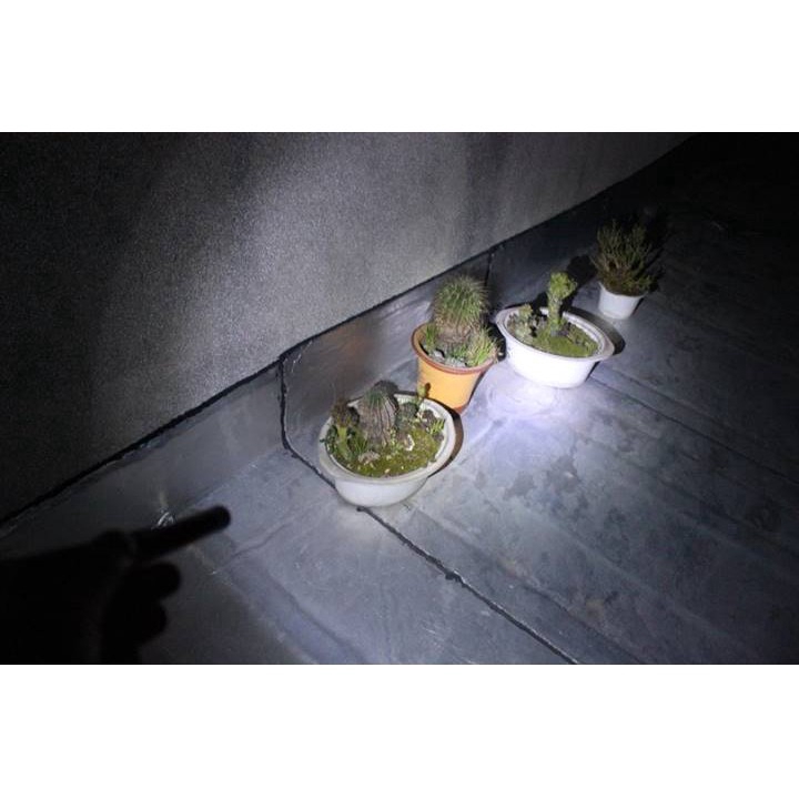 Bút Đèn Pin HaixnFire P57 Không Thấm Nước