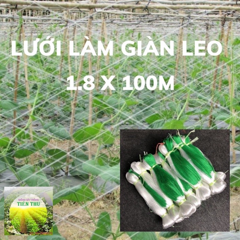 Lưới làm giàn leo 1.8x100m trồng dưa chuột, mướp, đậu, bầu bí, mướp quy mô lớn