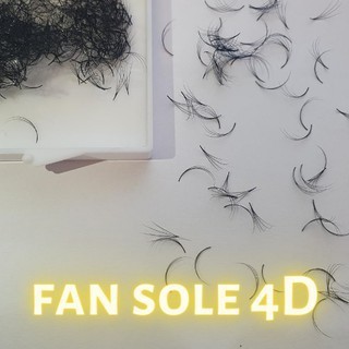 Mi Fan Sole Camelia - 3D 4D 5D Cong C , D ( 0.07 ) - Lông Mi Sole Fan Tay Sẵn