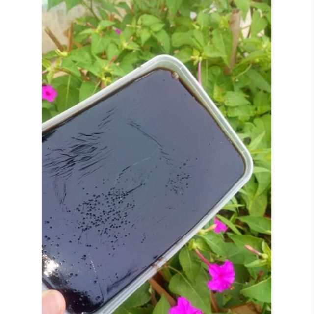 Set nguyên liệu làm thạch đen