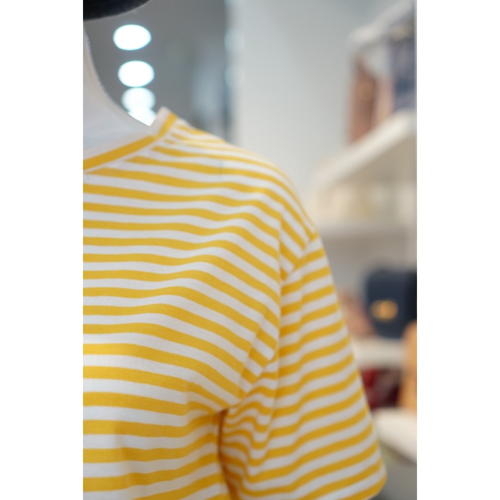 Áo Thun Cotton Sọc 100