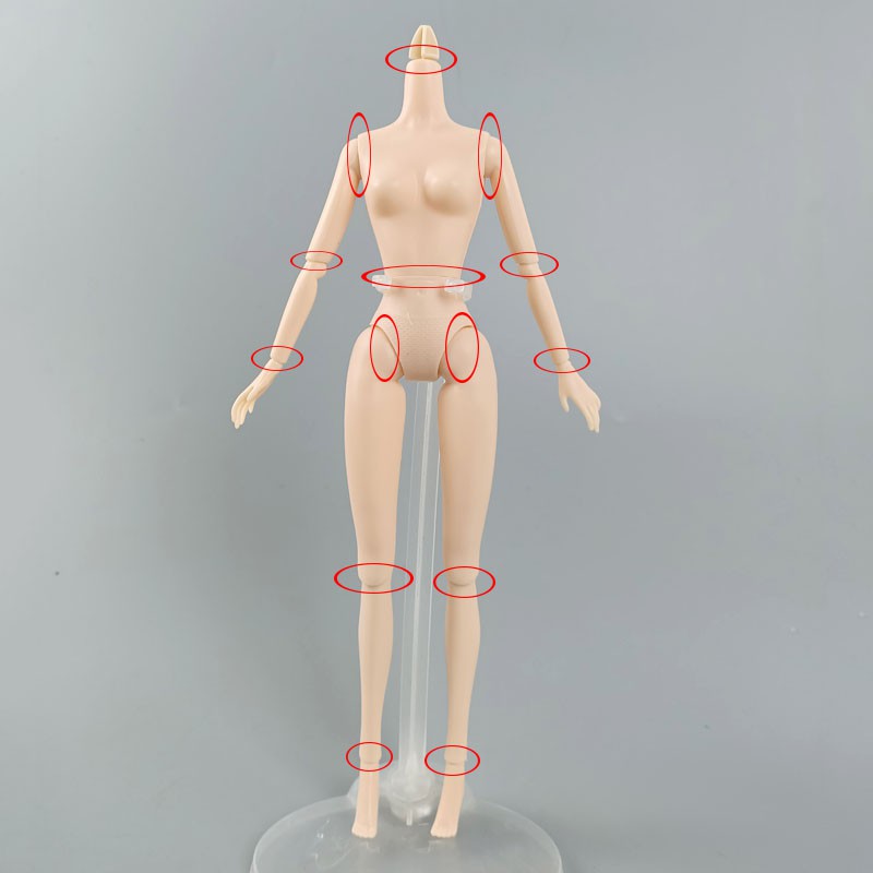 Cơ Thể Búp Bê barbie Tỉ Lệ 1 / 6 14