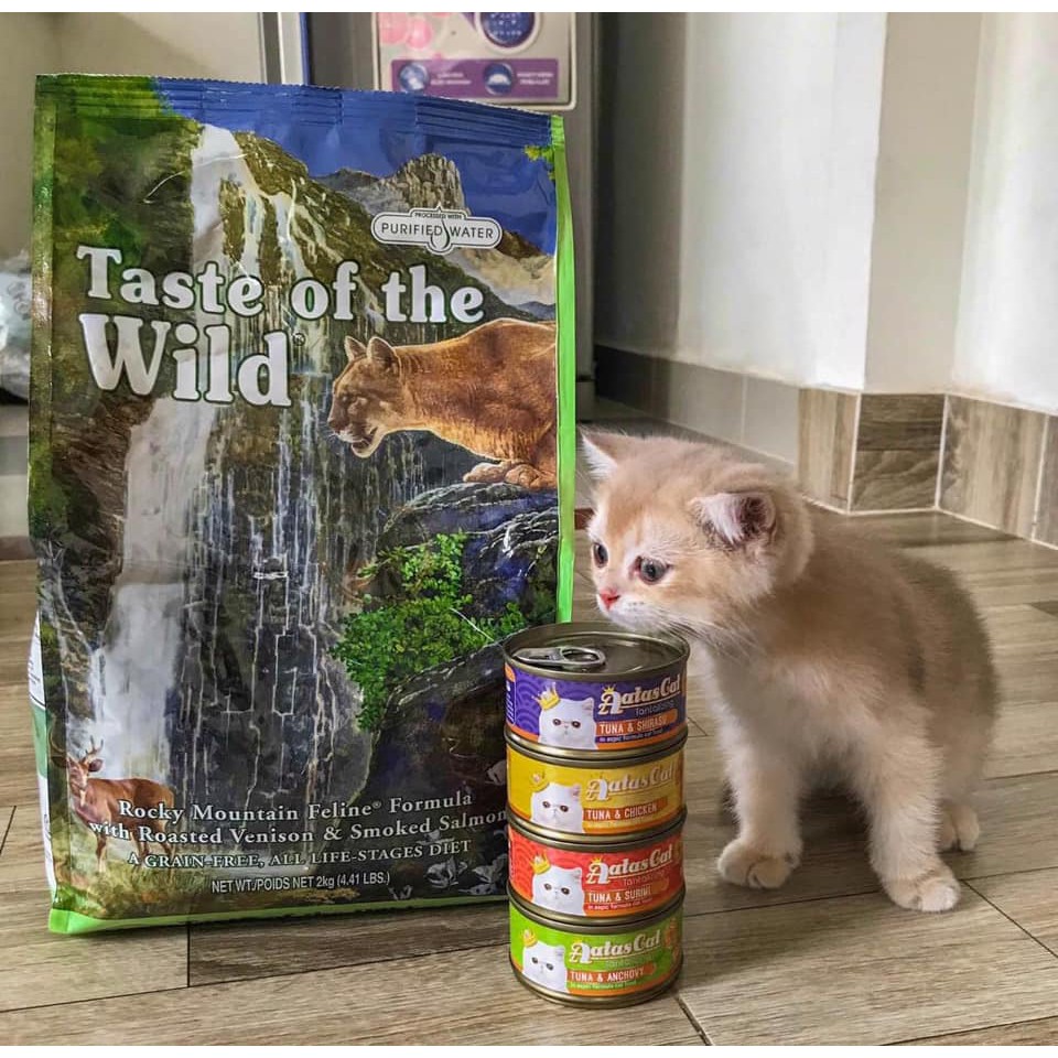 Thức Ăn Cho Mèo Taste Of The Wild Combo 2 bao 500g  Tặng 1 sốt kem Aatas Cat - Da Lông Bóng Mượt, Trí Não