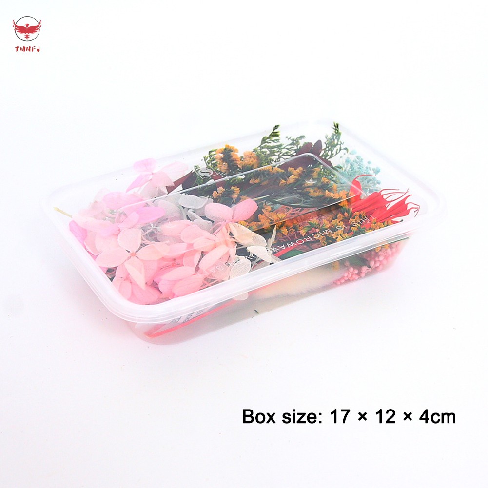 Set hoa lá thật ép khô hỗn hợp tự làm mặt trang sức nhựa resin/nến thủ công