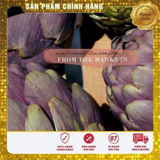 COMBO 02 gói hạt giống hoa ATIO Xanh và Hoa Atiso Tím ( 2 vị thuốc quý) tiết kiệm 22k