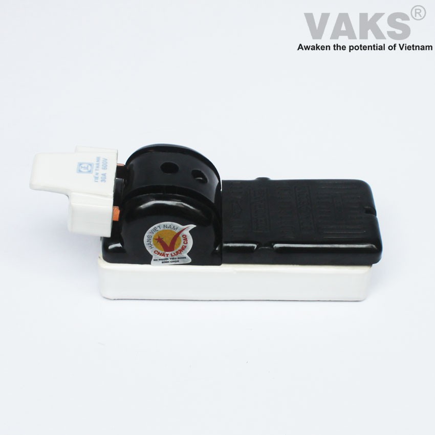 Cầu dao điện cao cấp Tiến Thành 2P, 60A, 600V, Sản Phẩm chính hãng hàng Việt Nam chất lượng cao.