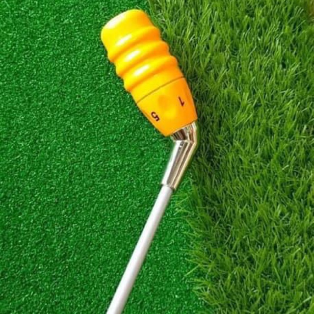 Gậy Chỉnh Swing Golf Con Ong Tay nắm Kỹ Thuật