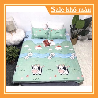 Bộ Ga Chun Trải Giường 3 món chất liệu cotton poly không bai không xù