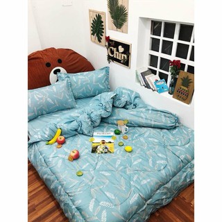 Set chăn ga gối cotton poly chăn phao dày