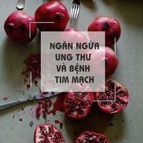 Viên uống chống nắng hạt lựu Puritan’s Pride 250MG