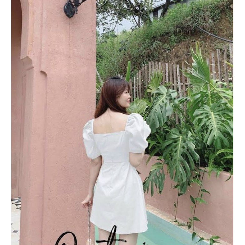 đầm basic 2 màu nút giả nơ cổ