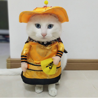 Váy hồng công chúa