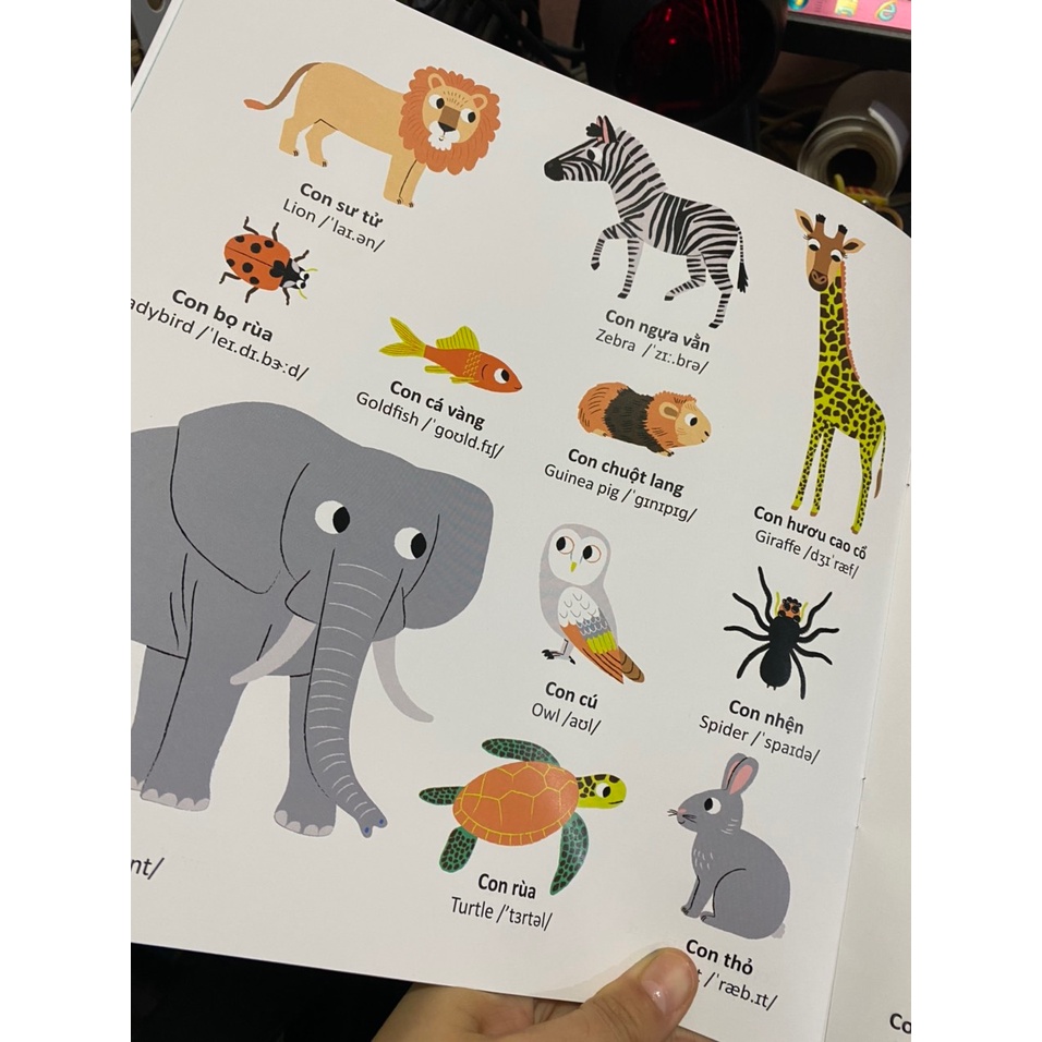 Sách - Thế giới từ vựng cho bé ( Đinh Tị )