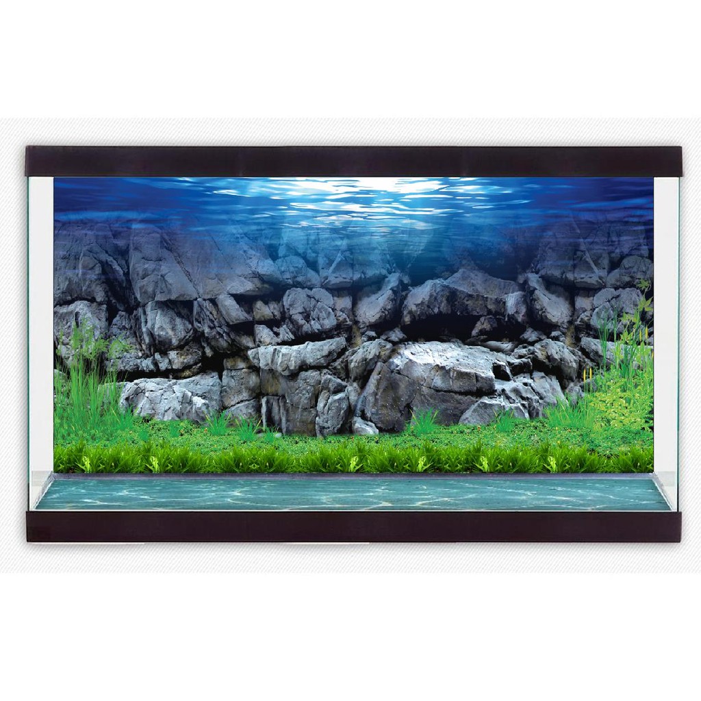 Decal dán Hồ Cá 3D siêu đẹp_GIÁ RẺ 02