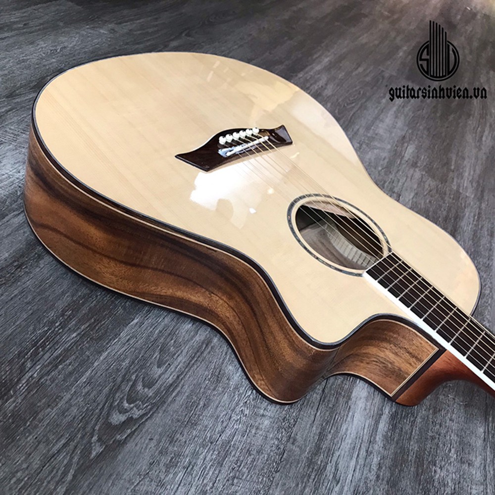 Đàn guitar SVA5 gỗ điệp - có ty chống cong - tặng full phụ kiện