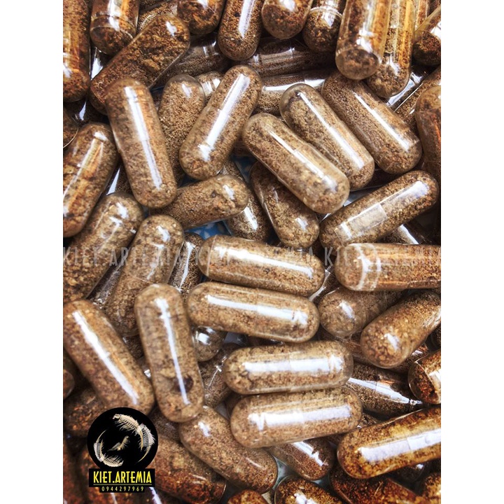 Trứng Artemia Nước Ngọt - Tỉ Lệ Nở Cao 1 viên