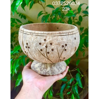 Chậu trồng lan có đế
