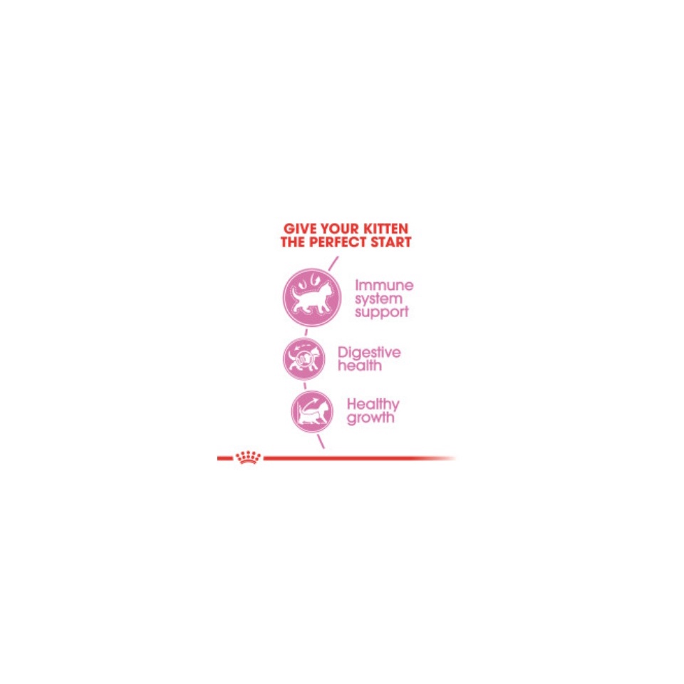 [Hỏa Tốc] Thức ăn hạt cho mèo con ROYAL CANIN KITTEN 500gr - 1kg