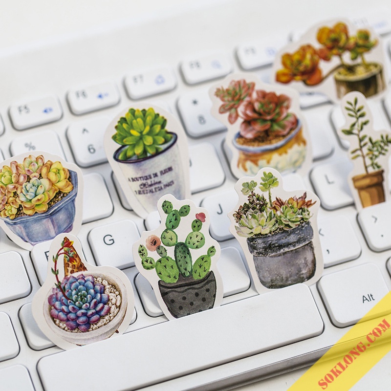 Sticker Hoa đá, cây xương rồng 50 miếng STI51 hộp nhãn dán trang trí bullet journal, thiệp handamde