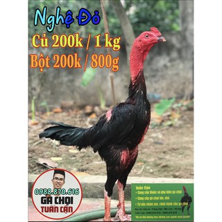 Nghệ Đỏ Miền Nam