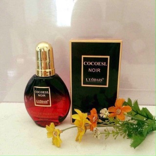 Serum dưỡng tóc hư tổn COCO NOIR