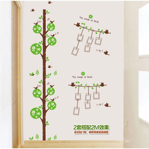 Decal trang trí Cây Vòng tròn khung ảnh