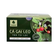 Trà túi lọc cà gai leo sadu 60 gói hsd 08/2020