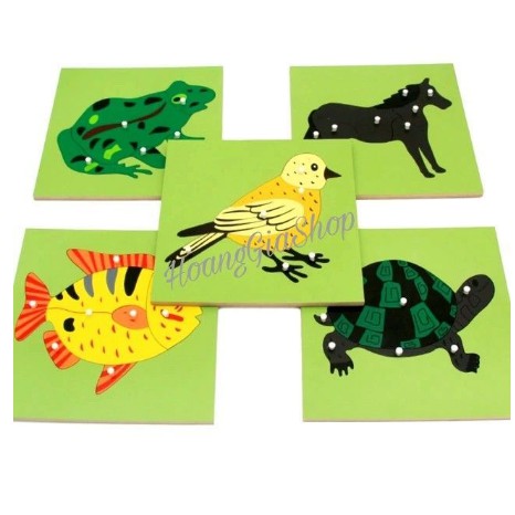 Tranh ghép sinh học - Giáo cụ Montessori bảng Quốc tế