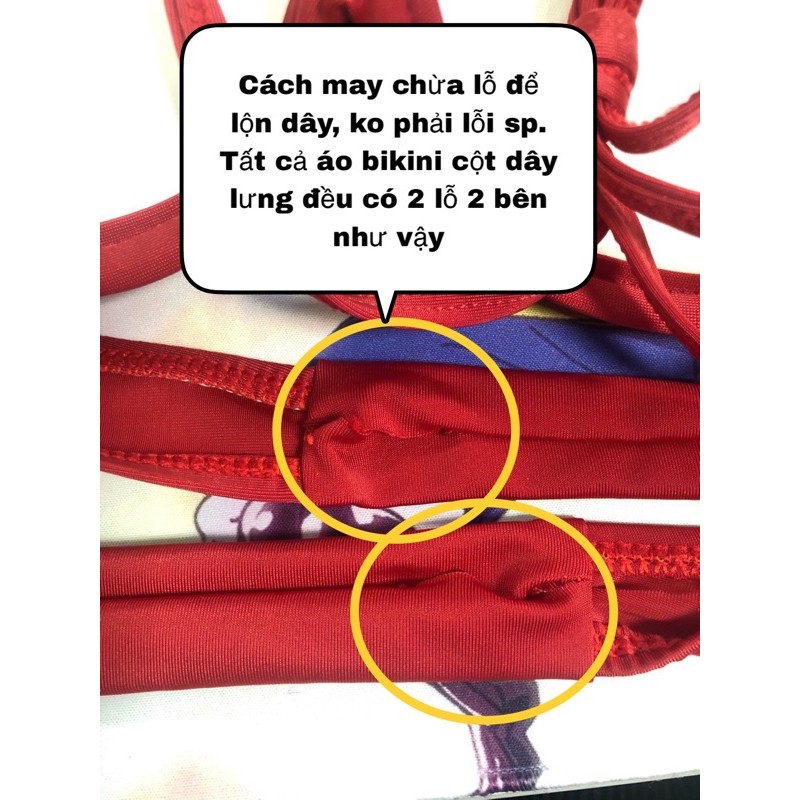 Set bikini đi biển 2 mảnh áo tắm nâng ngực- Đồ bơi nữ quần cạp cao che bụng kín đáo- shopnabi SETNGUC_BEST