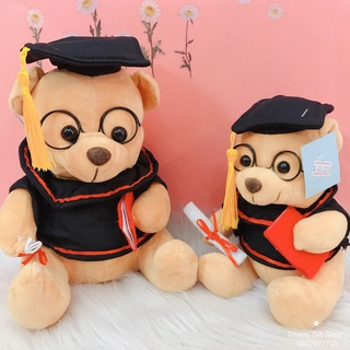 Gấu Bông Tốt Nghiệp Lông Mịn 25cm