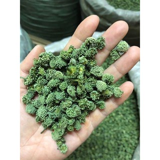 NỤ TAM THẤT BẮC