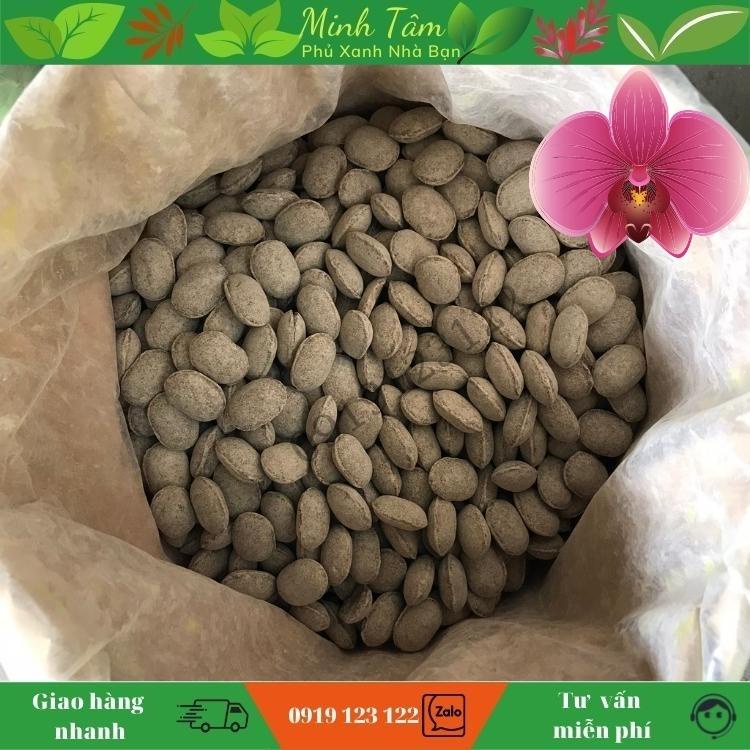 Phân Tan Chậm Hạt Bàng Nhật Nurseryace 12-6-6