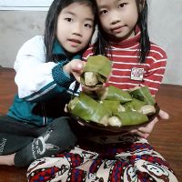 Combo bột sắn
