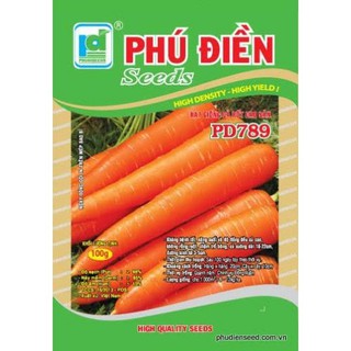 HẠT GIỐNG CÀ RỐT CAO SẢN