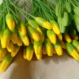 Nụ mai vàng xanh